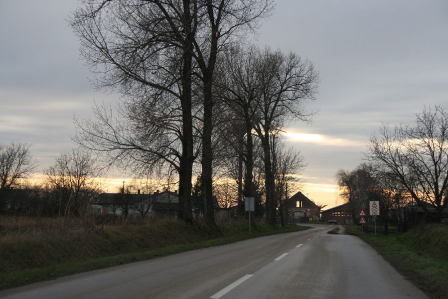Cesta za Ovčaru, foto: Roberta F/Wikimedia Commons