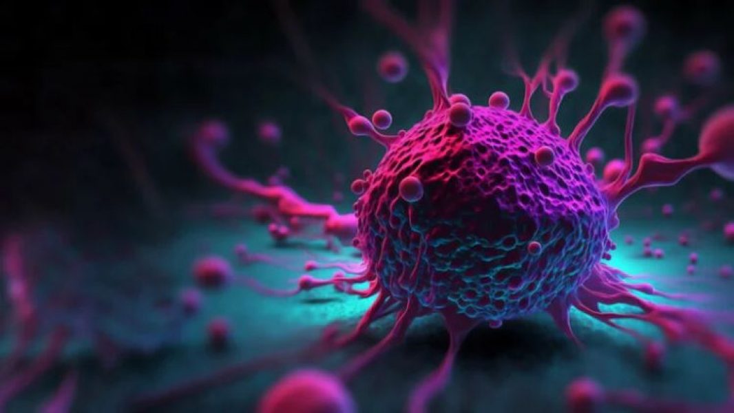 Ogroman korak naprijed u liječenju raka: Vrlo agresivne stanice tumora pretvorene u zdrave mišiće_64f008afce363.jpeg