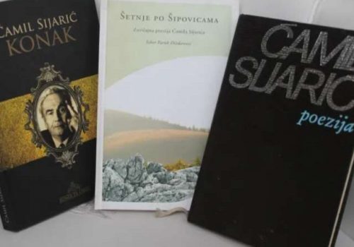 Ustanovljena književna nagrada “Ćamil Sijarić”_65ce9aa977af2.jpeg